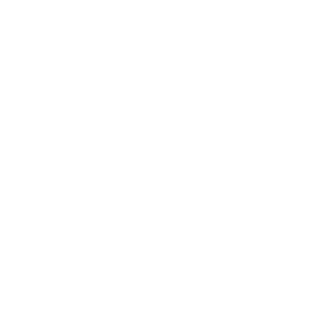 1XBET